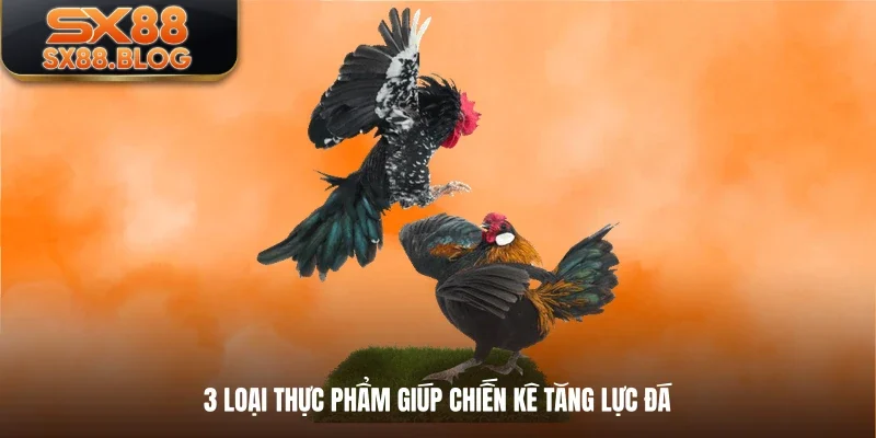 3 loại thực phẩm giúp chiến kê tăng lực đá