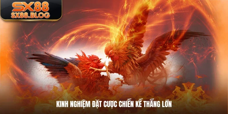 Kinh nghiệm đặt cược chiến kế thắng lớn
